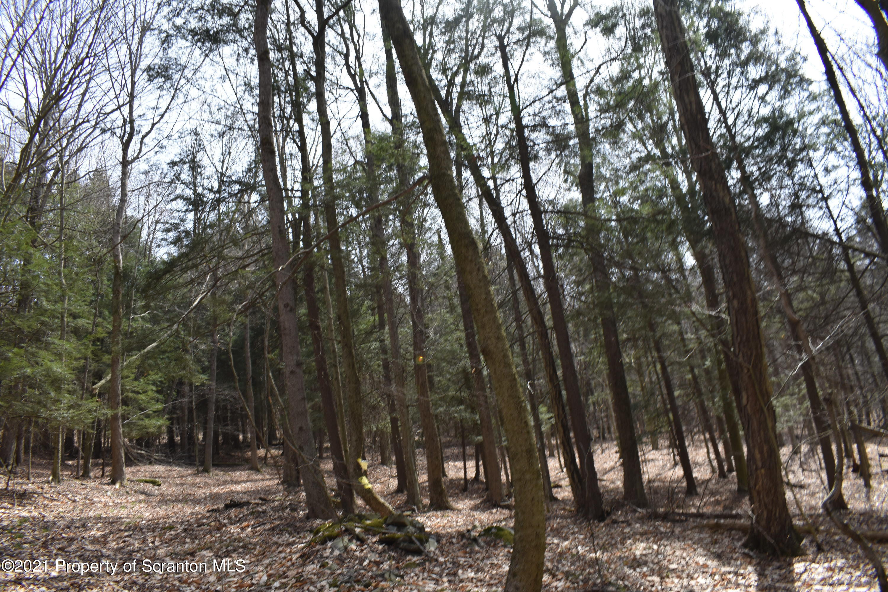 0 Olszewski Road Montrose, PA 18801 - Photo 14 of 25 a view of outdoor space with lots of trees