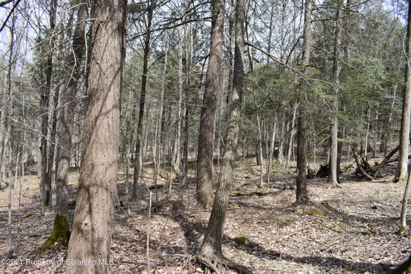$589,000 | 0 Olszewski Road, Montrose, PA 18801