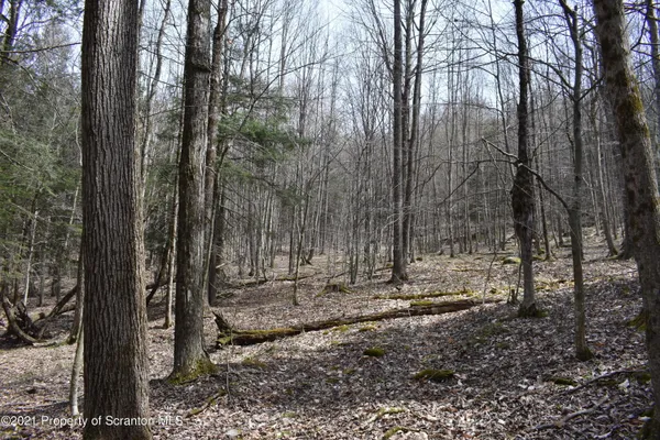 $589,000 | 0 Olszewski Road, Montrose, PA 18801