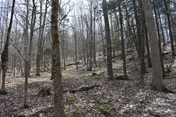 $589,000 | 0 Olszewski Road, Montrose, PA 18801