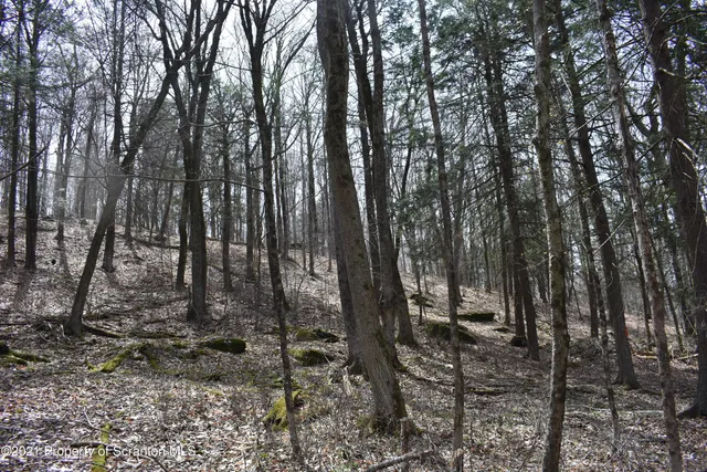 a view of outdoor space with lots of trees