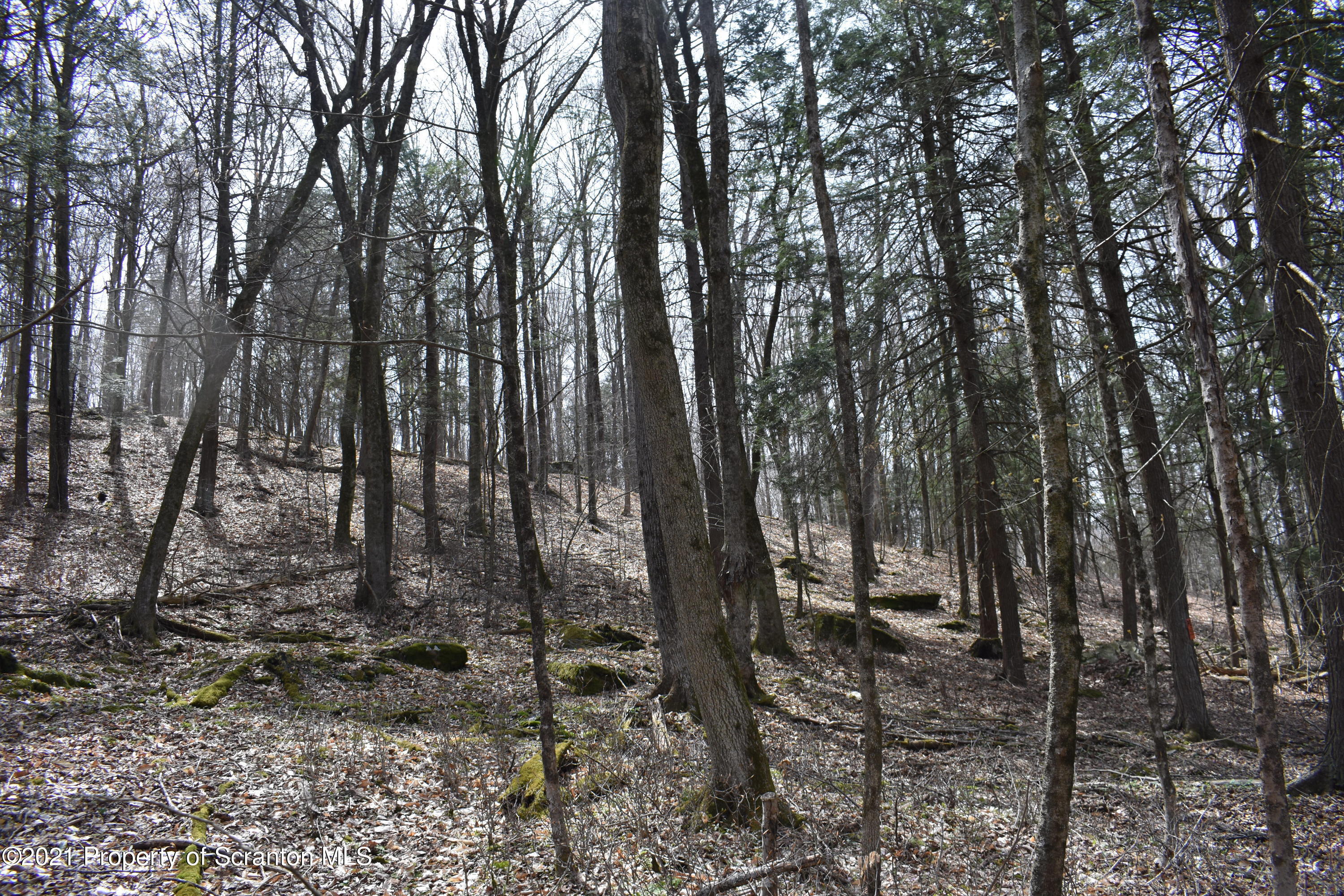 0 Olszewski Road Montrose, PA 18801 - Photo 20 of 25 a view of outdoor space with lots of trees