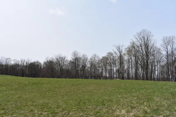 $589,000 | 0 Olszewski Road, Montrose, PA 18801