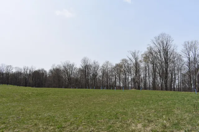 a view of open field with trees in the background