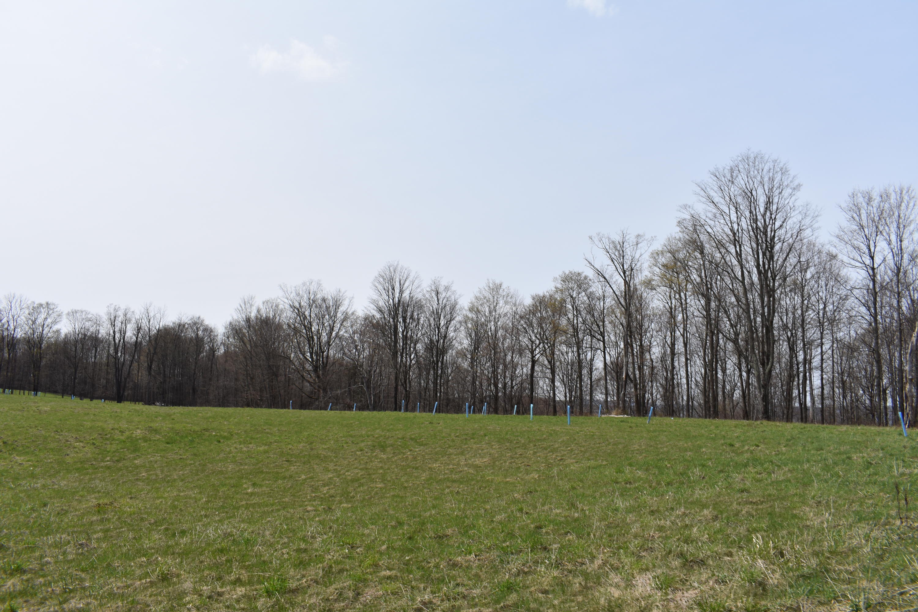 0 Olszewski Road Montrose, PA 18801 - Photo 2 of 25 a view of open field with trees in the background