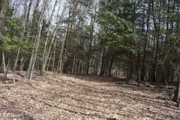 $589,000 | 0 Olszewski Road, Montrose, PA 18801