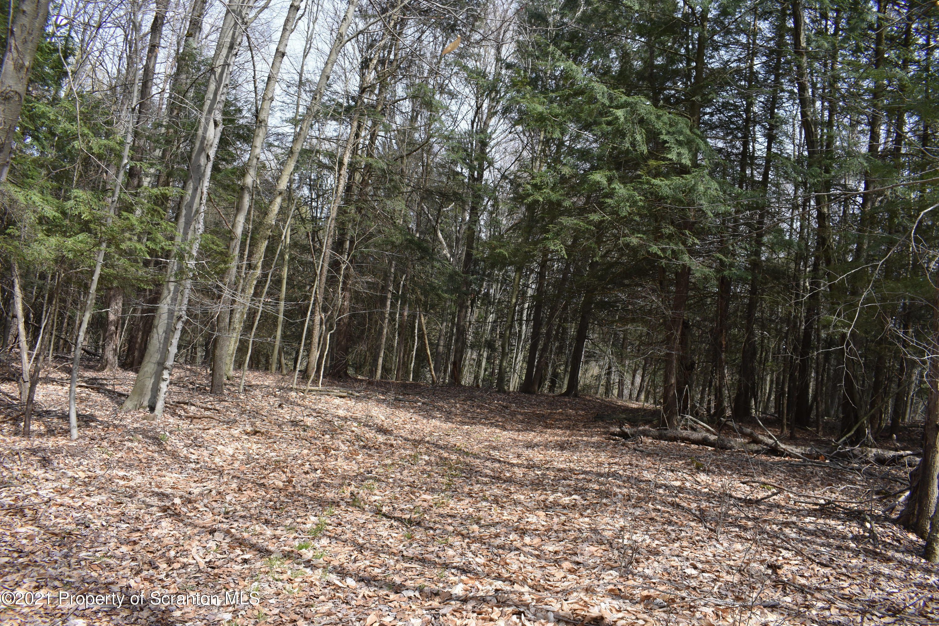 0 Olszewski Road Montrose, PA 18801 - Photo 23 of 25 a view of outdoor space with trees