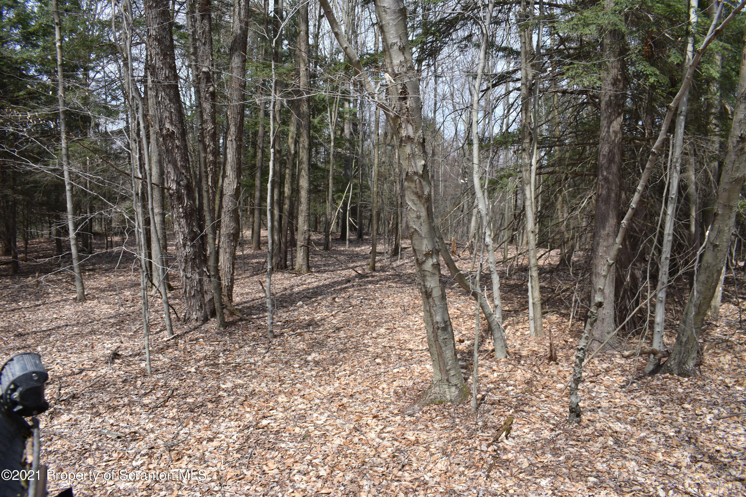 0 Olszewski Road Montrose, PA 18801 - Photo 24 of 25 a backyard of a house with lots of green space
