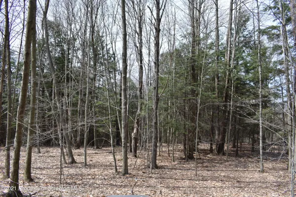 $589,000 | 0 Olszewski Road, Montrose, PA 18801