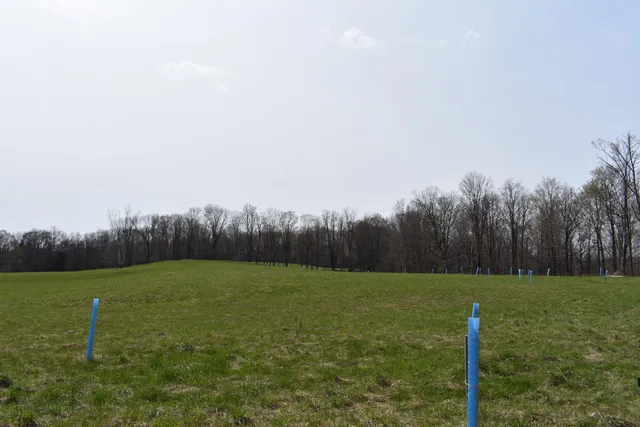 a bathroom with a bathtub and trees in the background