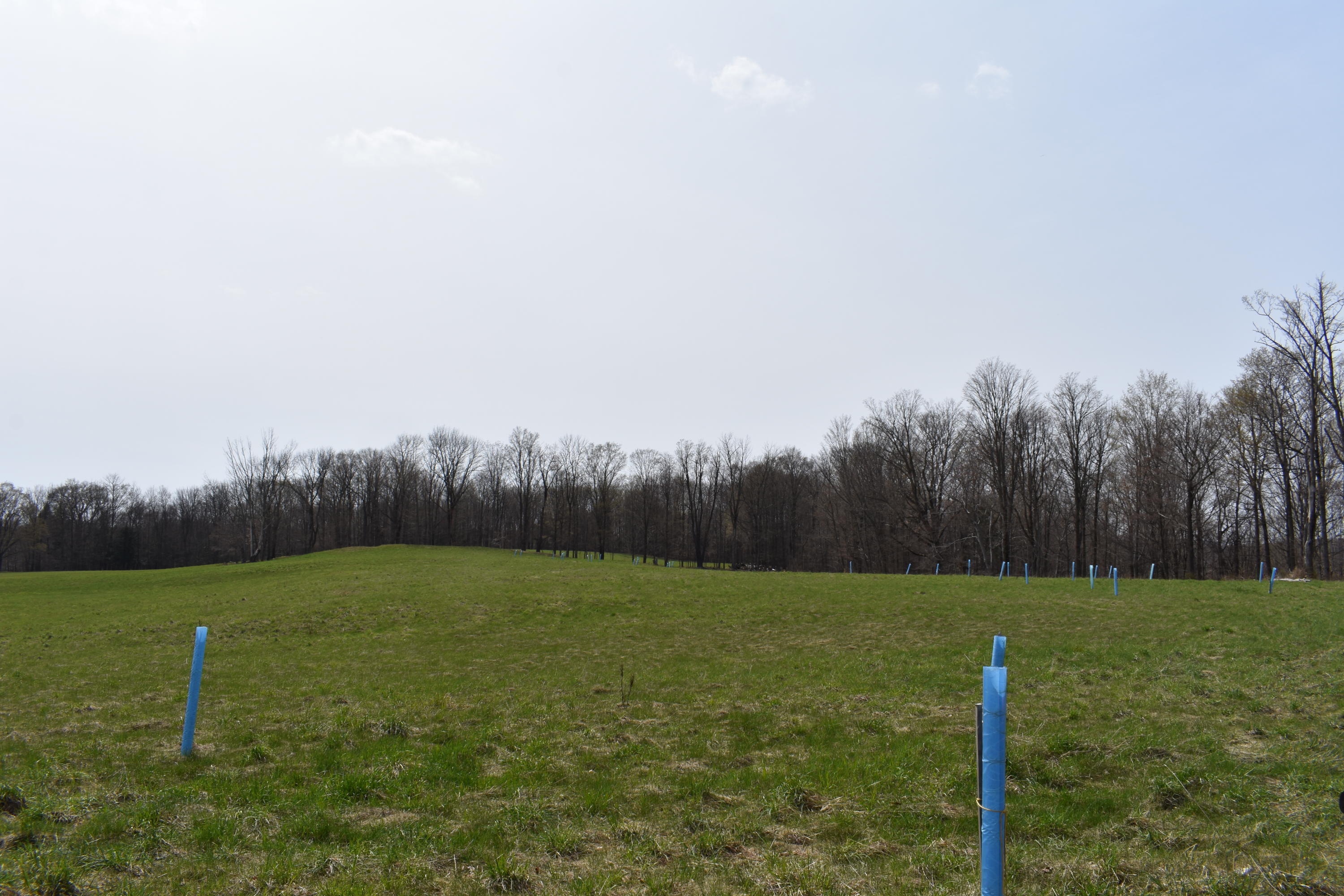 0 Olszewski Road Montrose, PA 18801 - Photo 3 of 25