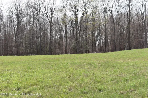 $589,000 | 0 Olszewski Road, Montrose, PA 18801