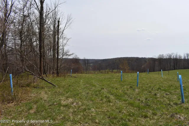 a view of a field of grass and trees