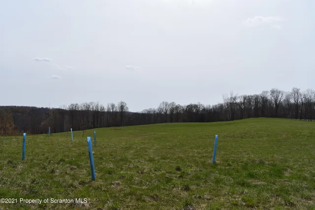 a view of a park with a slide