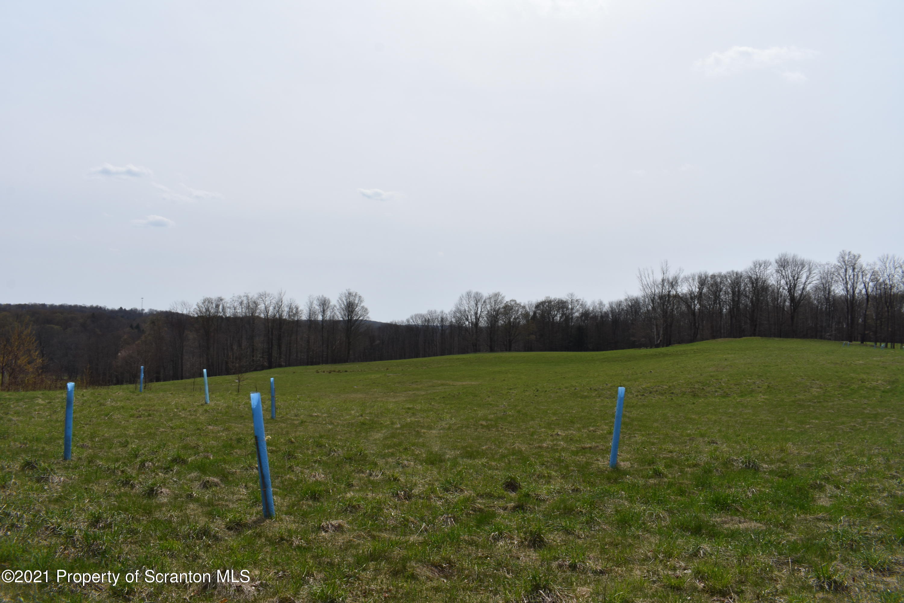0 Olszewski Road Montrose, PA 18801 - Photo 6 of 25 a view of a field of grass and trees