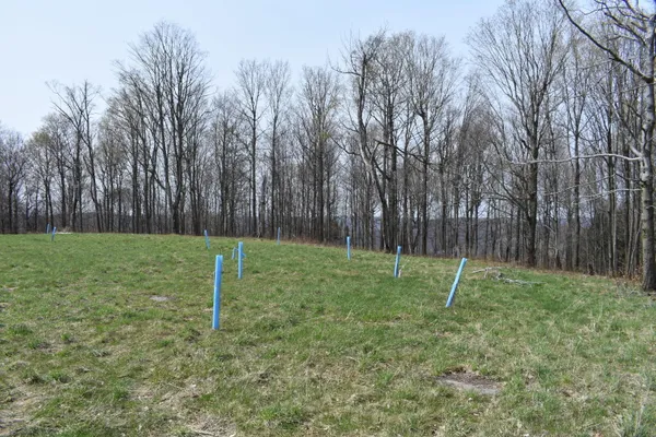 $589,000 | 0 Olszewski Road, Montrose, PA 18801