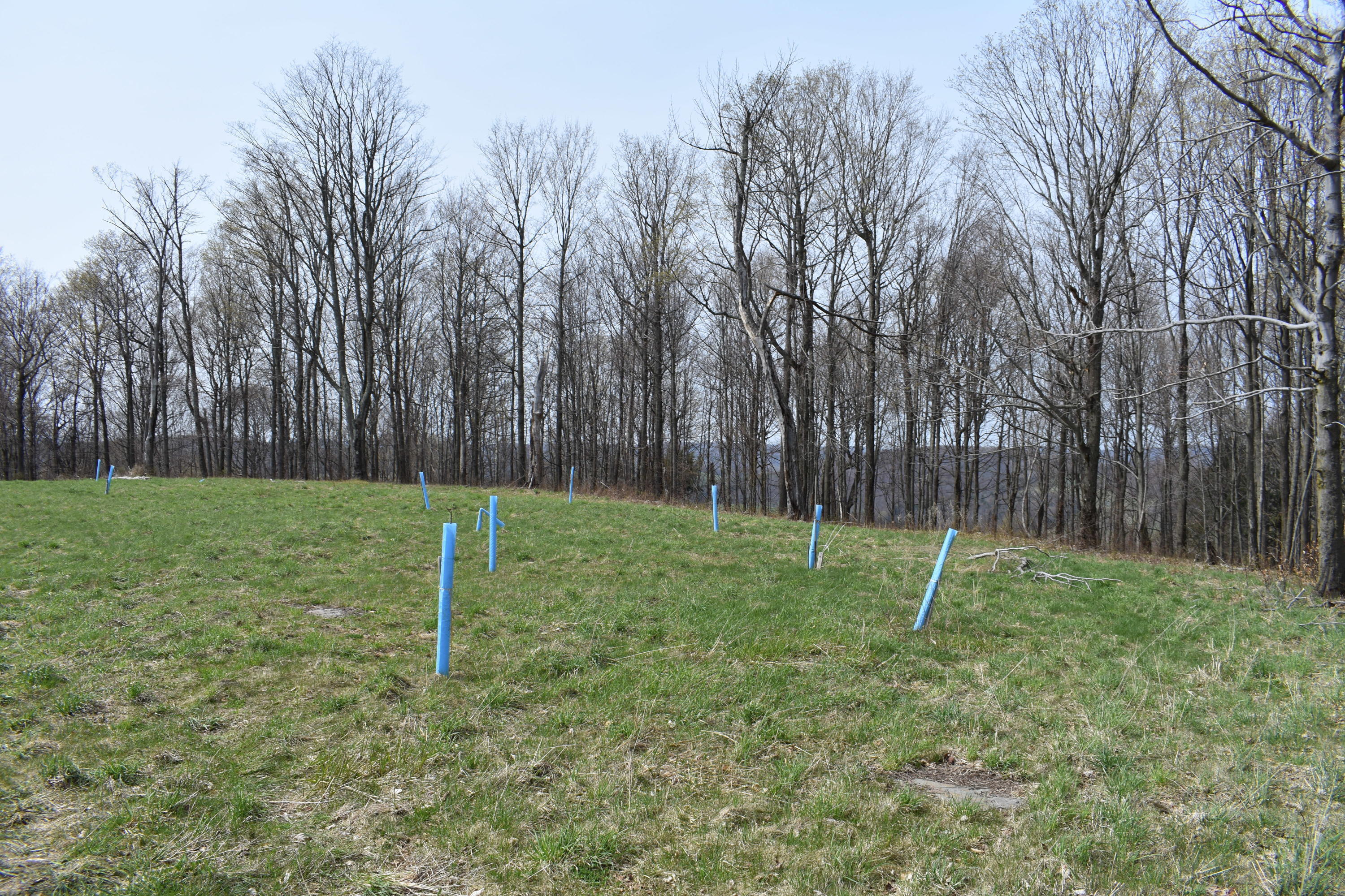 0 Olszewski Road Montrose, PA 18801 - Photo 7 of 25 a view of a park with a slide