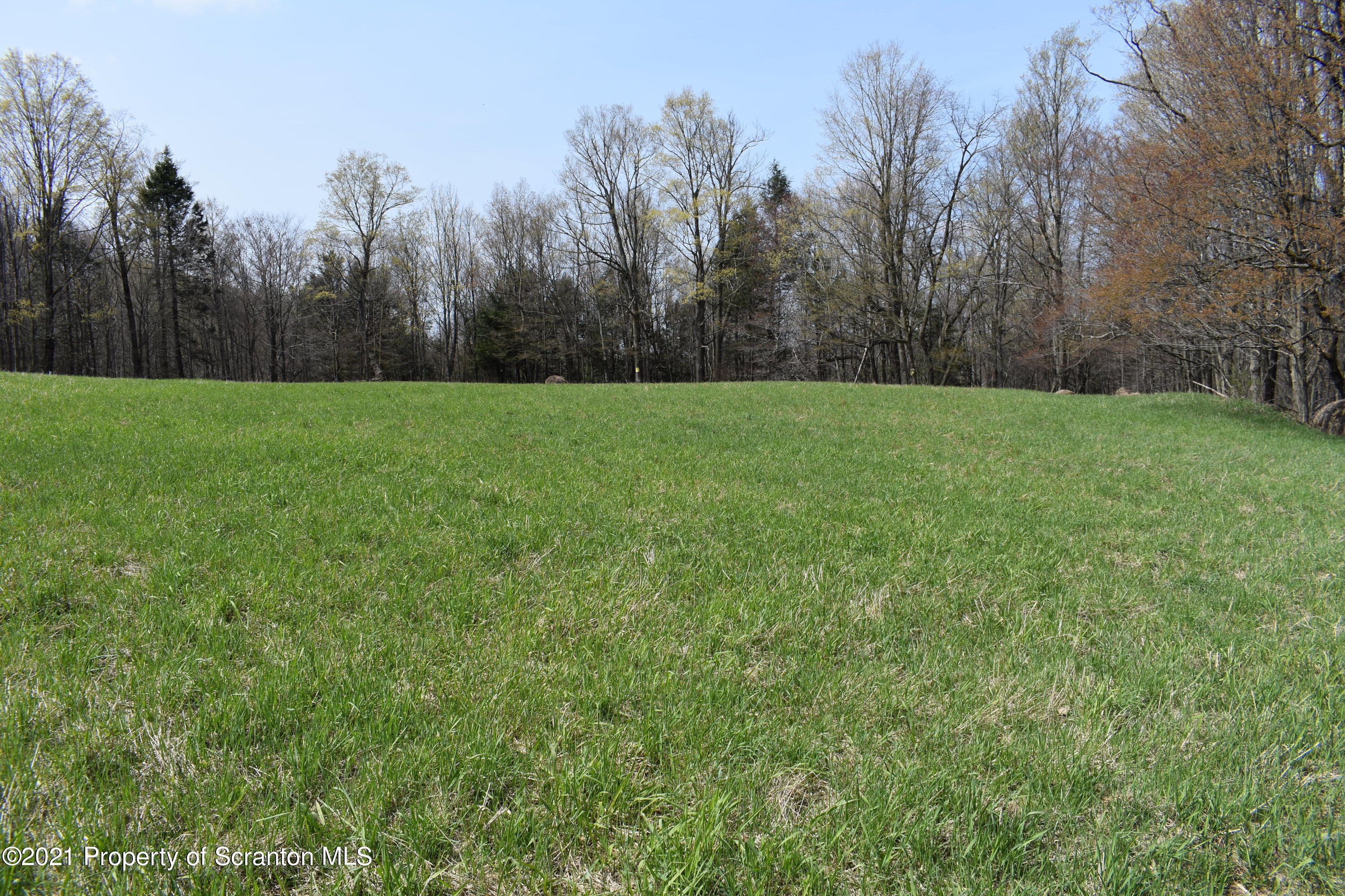 0 Olszewski Road Montrose, PA 18801 - Photo 8 of 25 a view of a yard