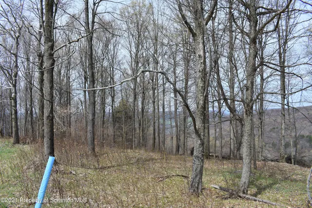 a view of a outdoor space