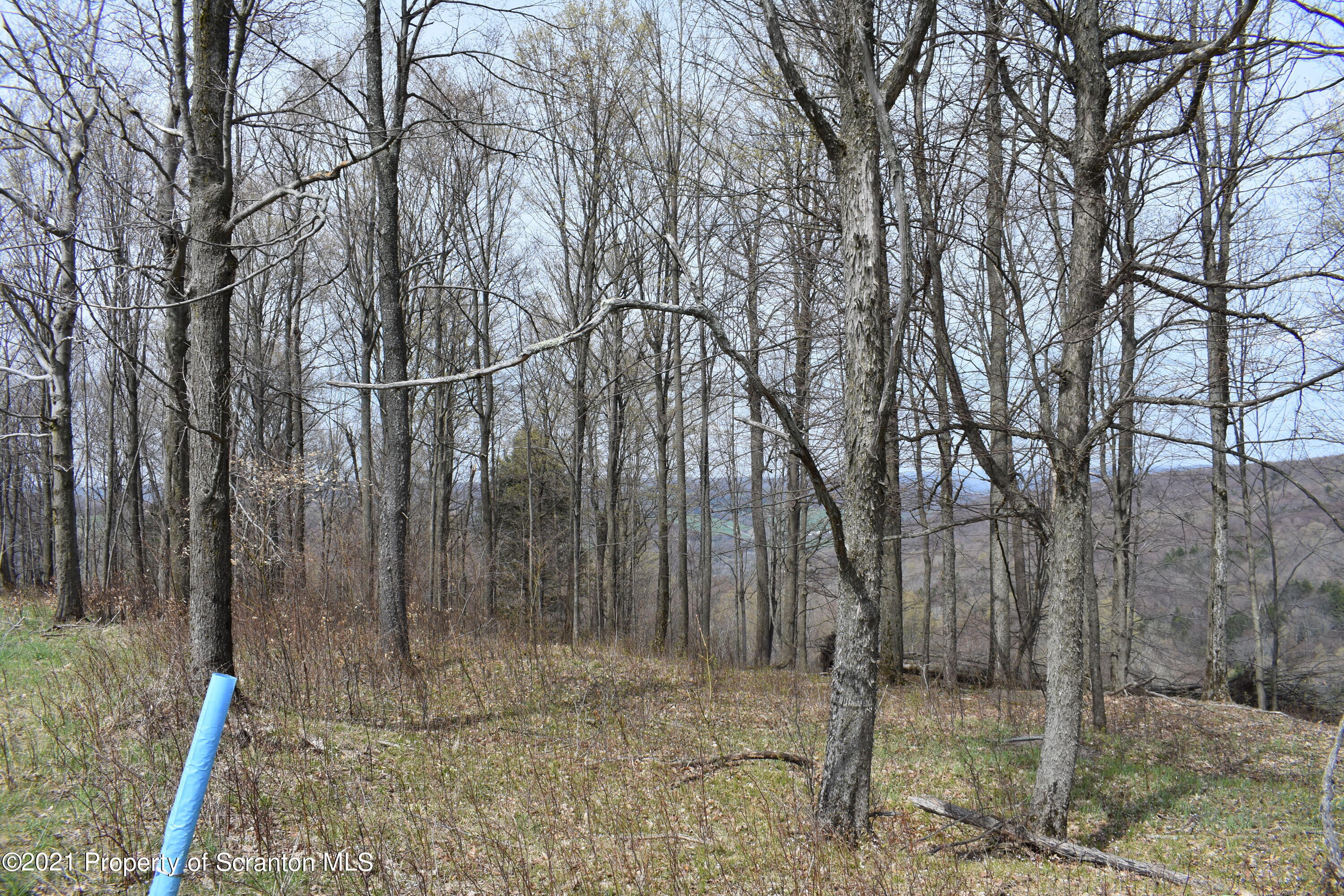 0 Olszewski Road Montrose, PA 18801 - Photo 9 of 25 a backyard of a house with lots of green space