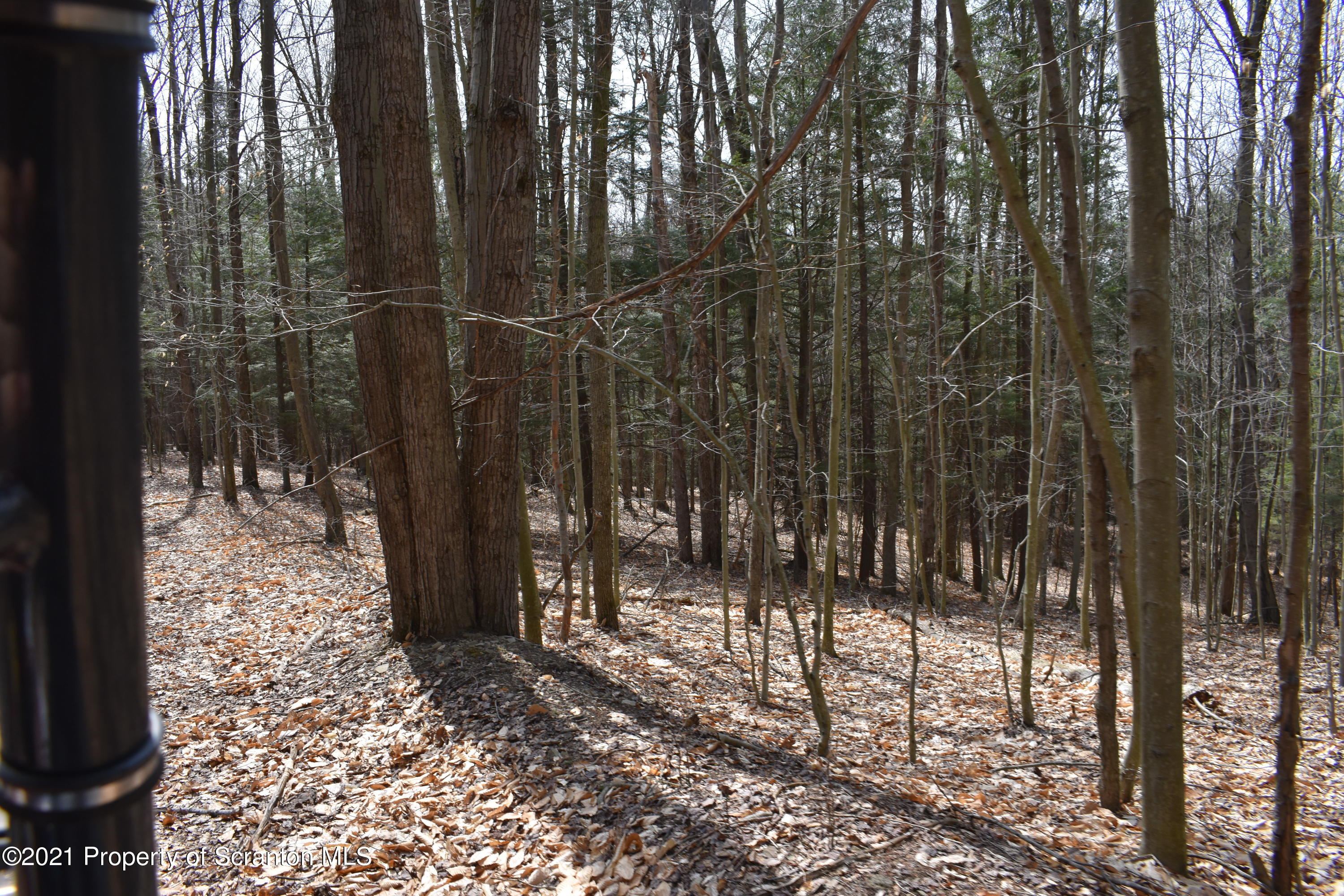 0 Olszewski Road Montrose, PA 18801 - Photo 10 of 25 a view of a outdoor space