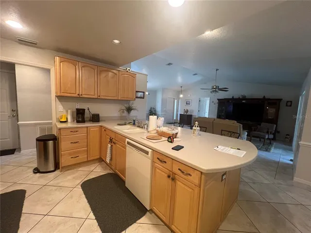 a kitchen with a sink a counter space appliances and cabinets