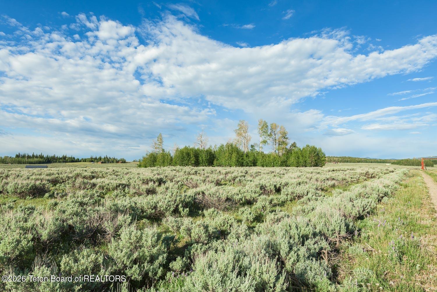 4 Aspen Ridge Road Daniel, WY 83115 - Photo 23 of 36 DSC_5346