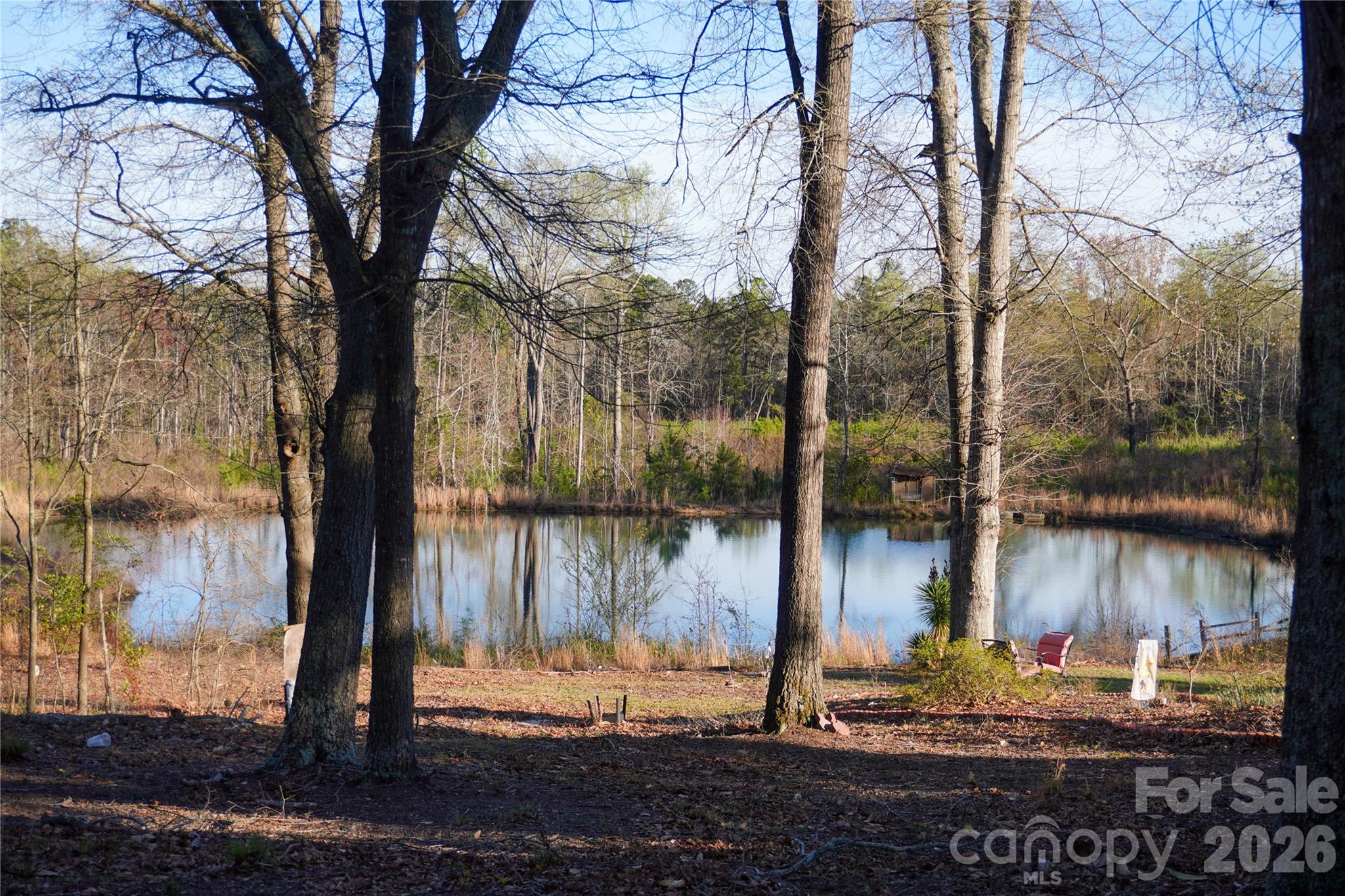 a lake view with tall house