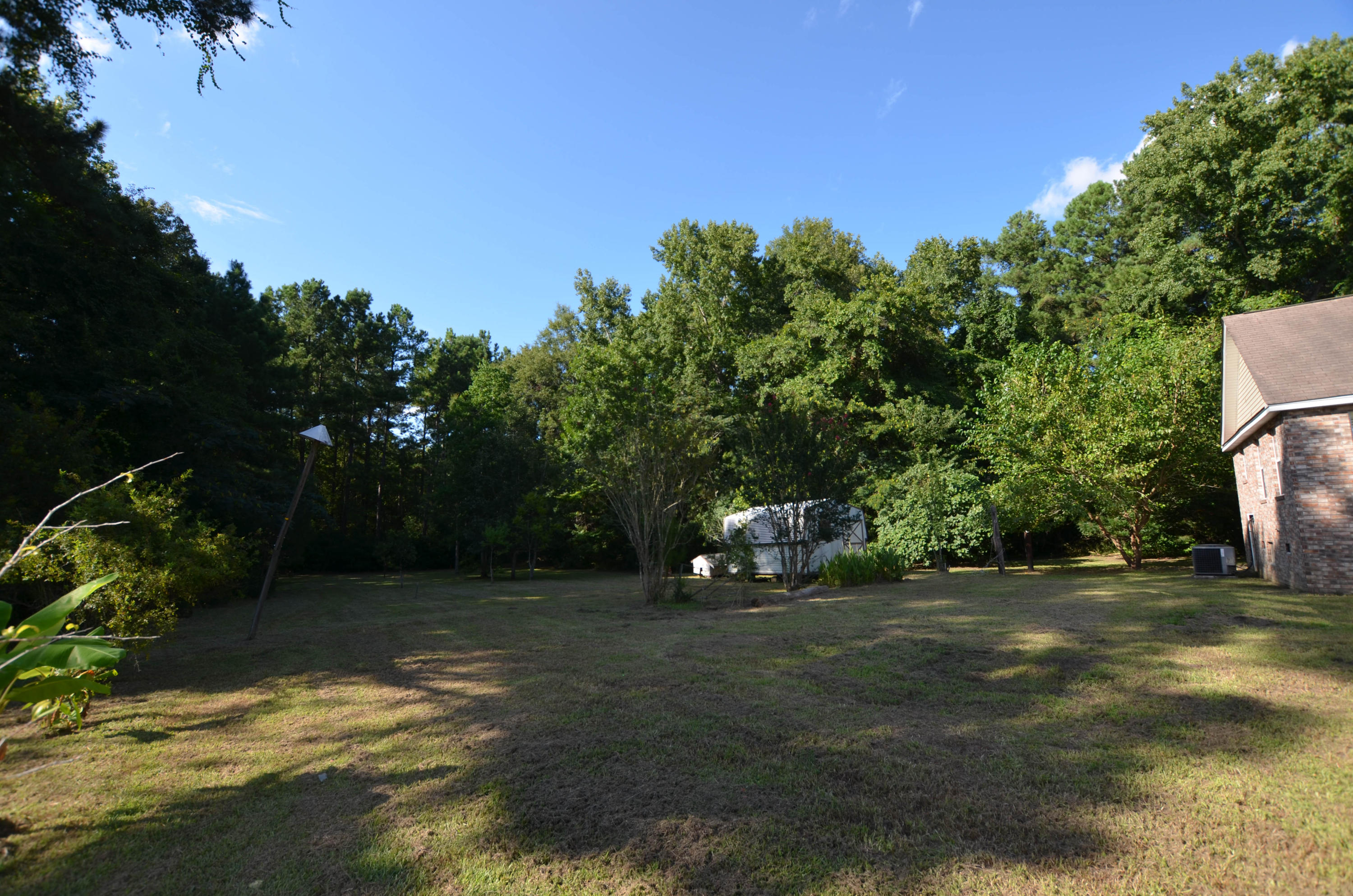10204 Old Georgetown Road McClellanville, SC 29458 - Photo 15 of 19 back-yard