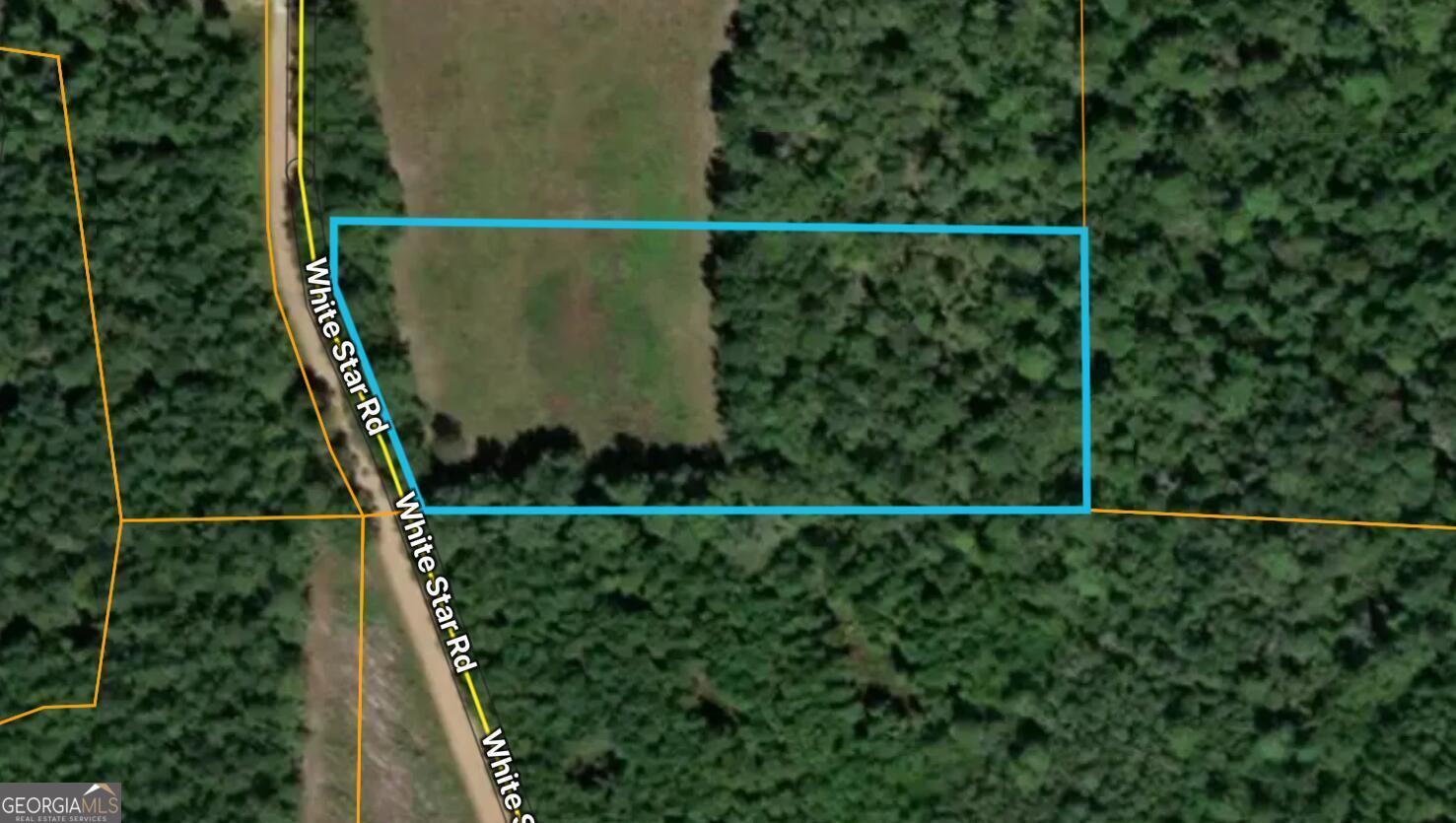 0 White Star Road Screven, GA 31560 - Photo 1 of 1 Gallery Image 1