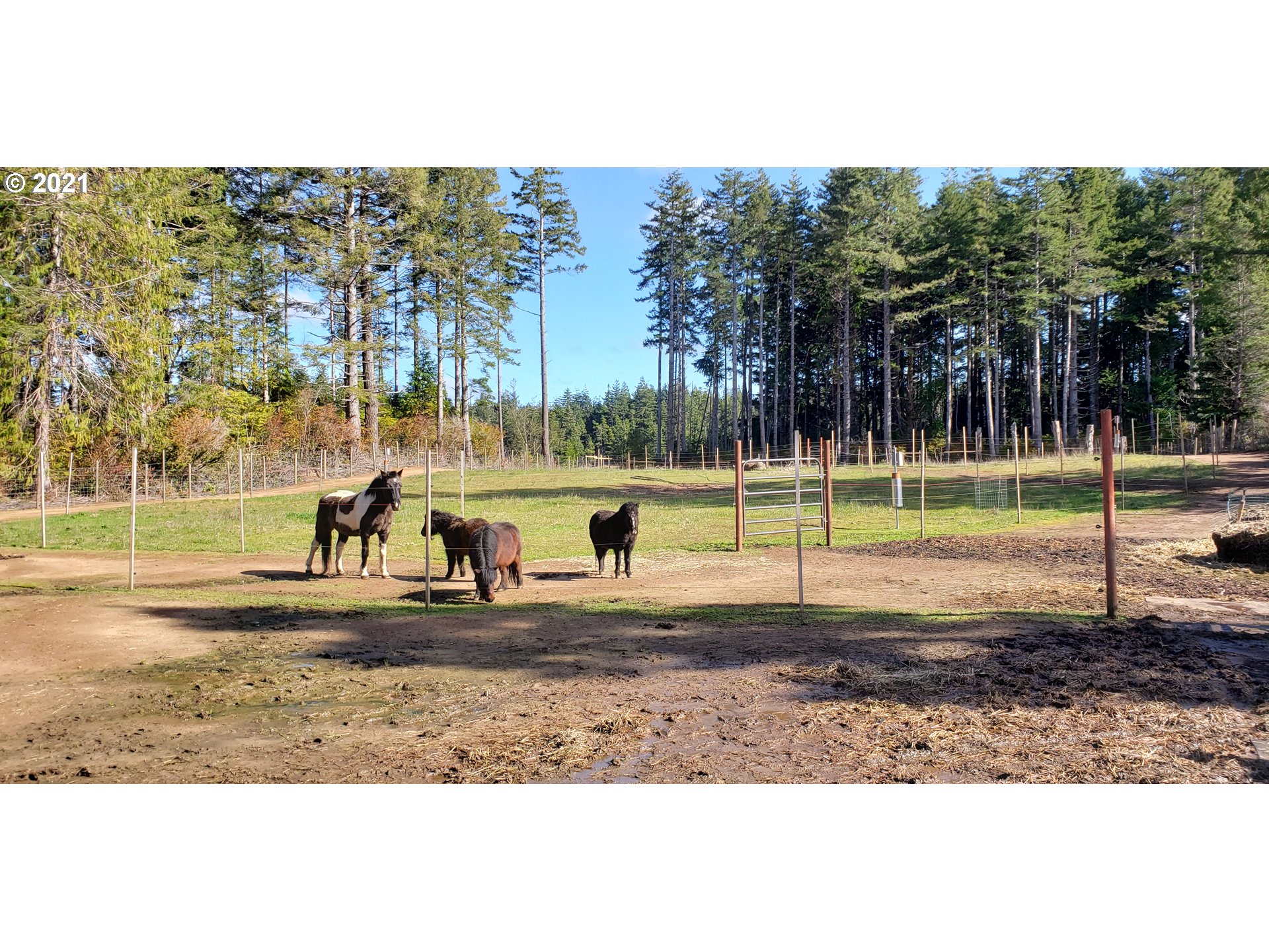 55741 Bates Road Bandon, OR 97411 - Photo 16 of 21 Gallery Image 16