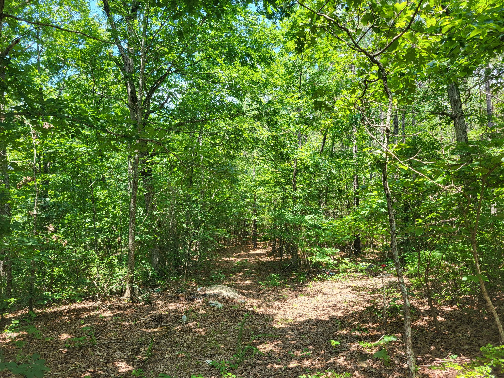3 Birdsong Road Holladay, TN 38341 - Photo 2 of 5 a backyard of a house with lots of green space