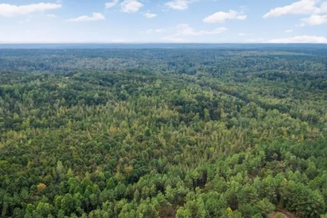 a view of a big yard with a small yard and large trees