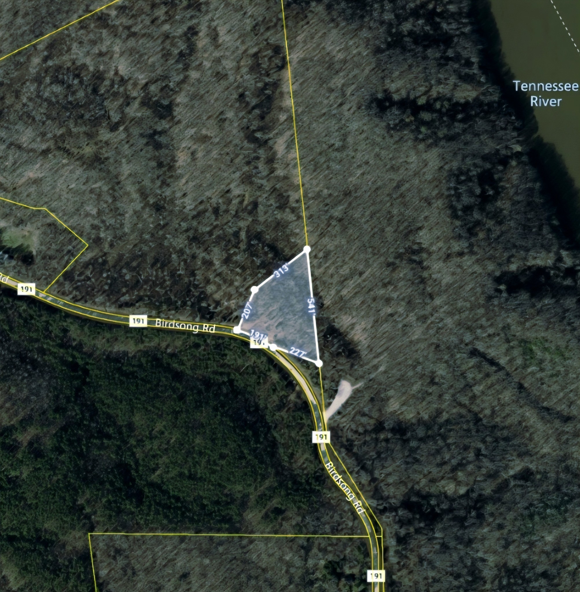 3 Birdsong Road Holladay, TN 38341 - Photo 5 of 5 a backyard of a house with lots of green space