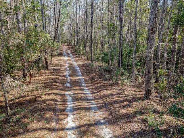$40,000 | Lot 9 Trebor Lane, Sopchoppy, FL 32358