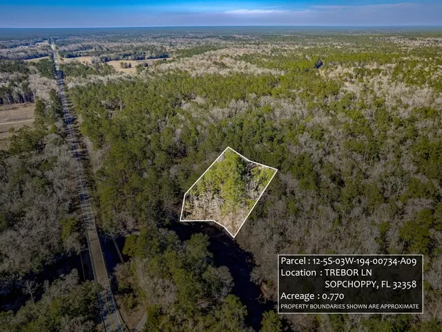$40,000 | Lot 9 Trebor Lane, Sopchoppy, FL 32358