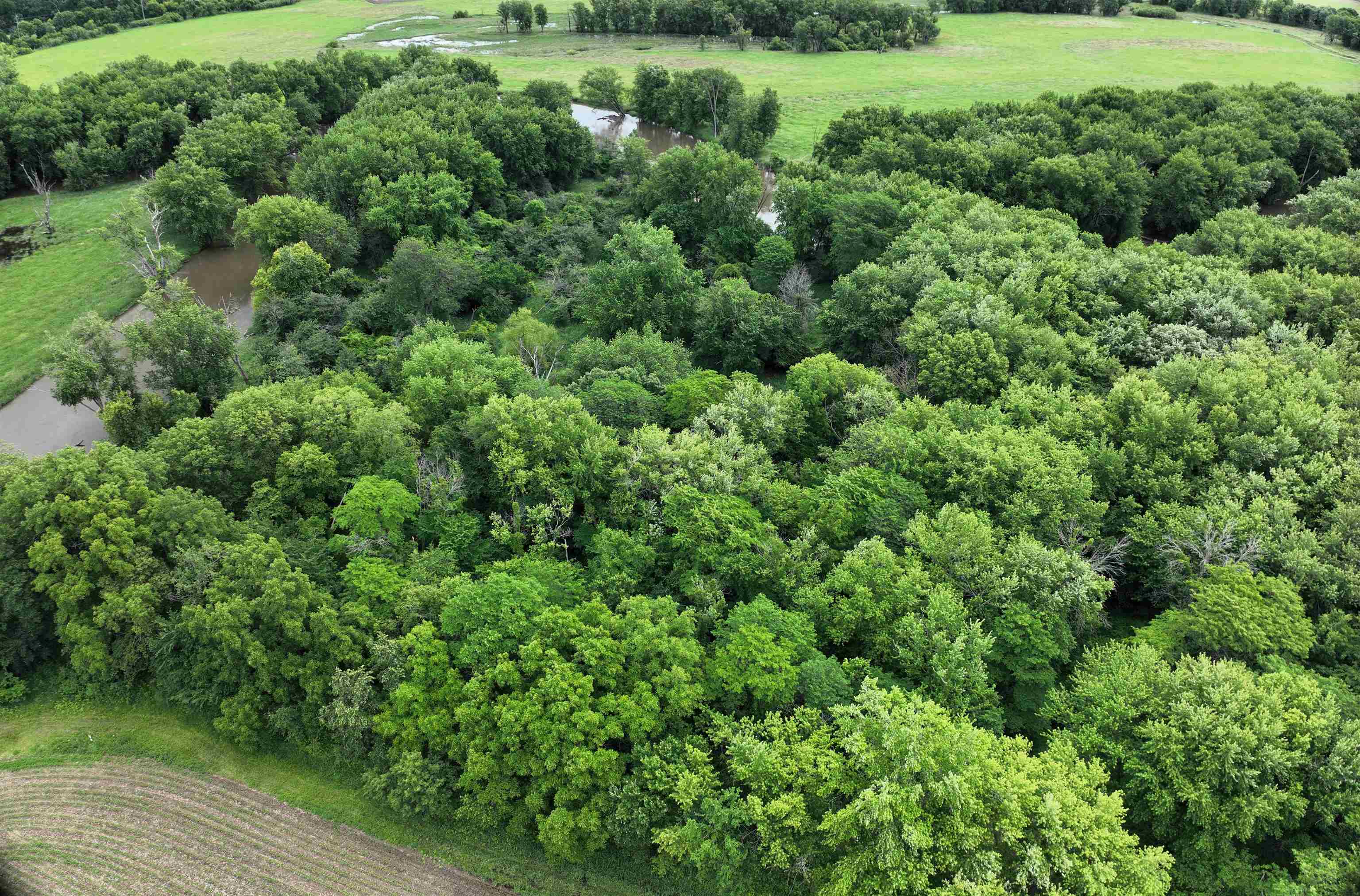 89.14-acres Smokey Hollow Road Freeport, IL 61032 - Photo 8 of 15