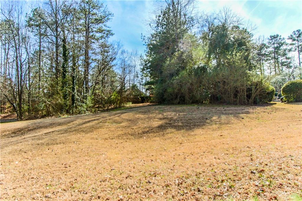 a view of a yard with a trees