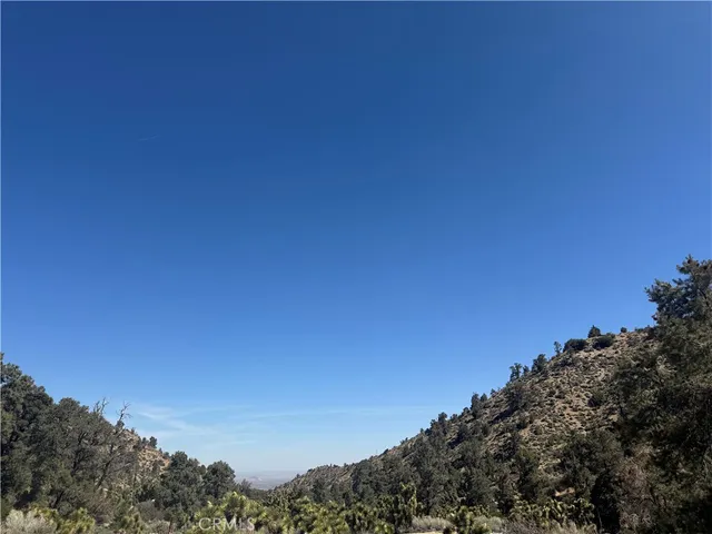 a view of a large building with a tree in the background