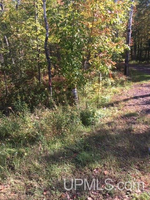 122 Rd Saxon V-wi Wi 54559 Road, Unit 10 ACS Ashland, WI 54806 - Photo 7 of 11