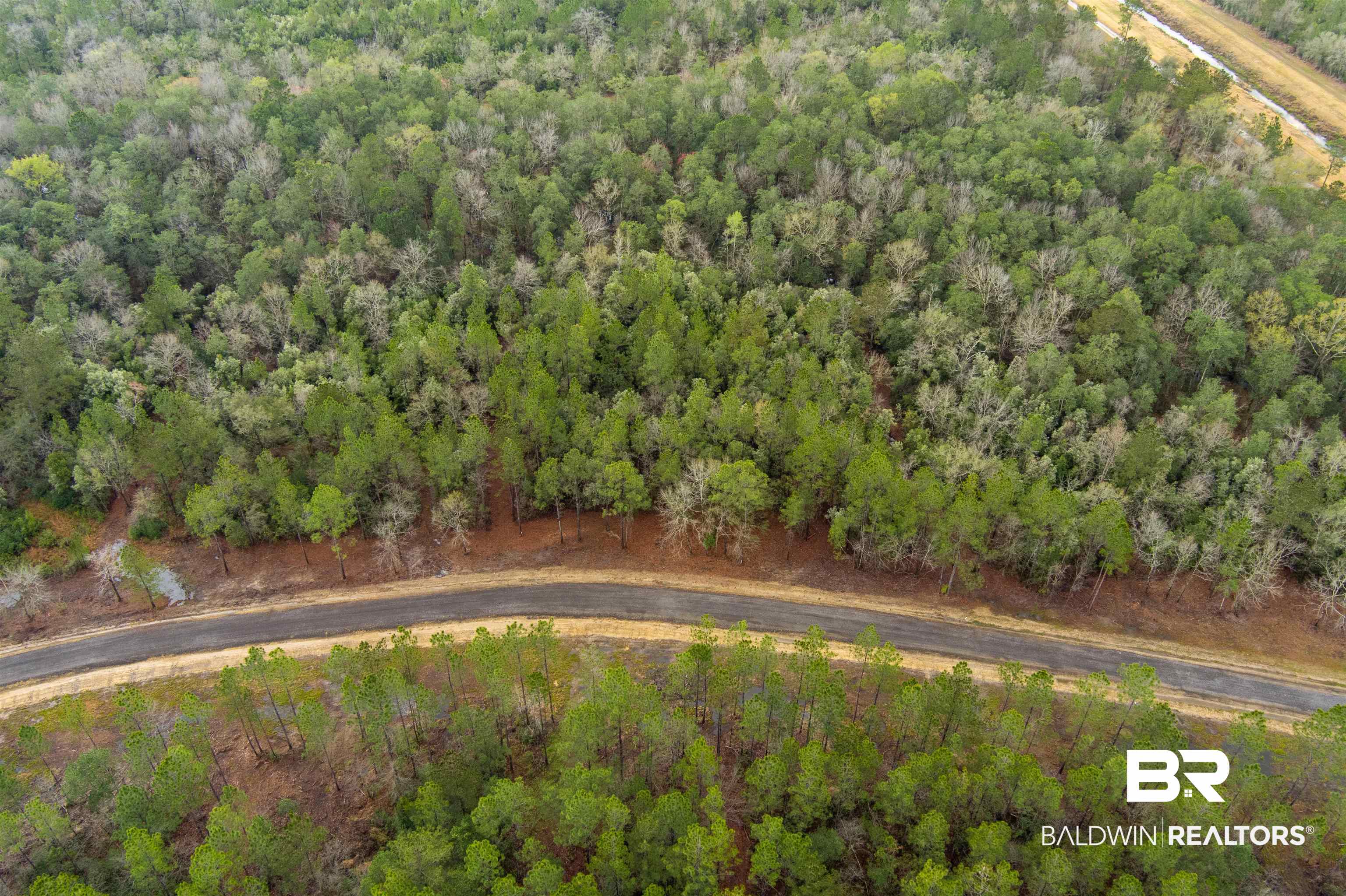 7 Foxtrap Road Axis, AL 36505 - Photo 4 of 20