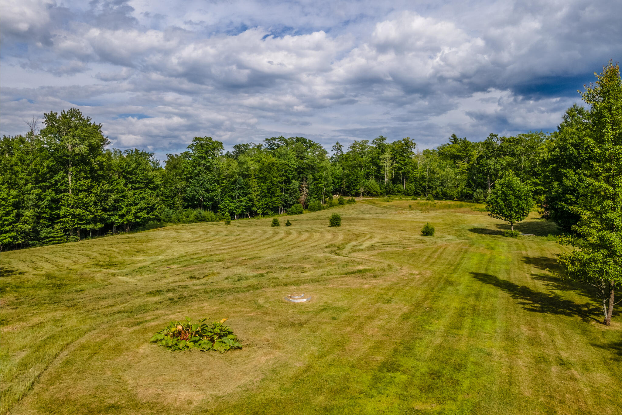 137 Milford Road Princeton, ME 04668 - Photo 9 of 100 Looking towards the field
