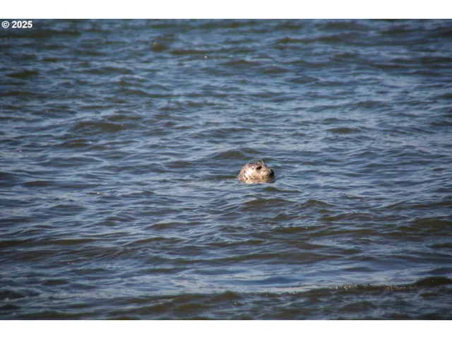 $228,000 | 1000 Southeast Bay Blvd. Boulevard, Unit 140, Newport, OR 97365