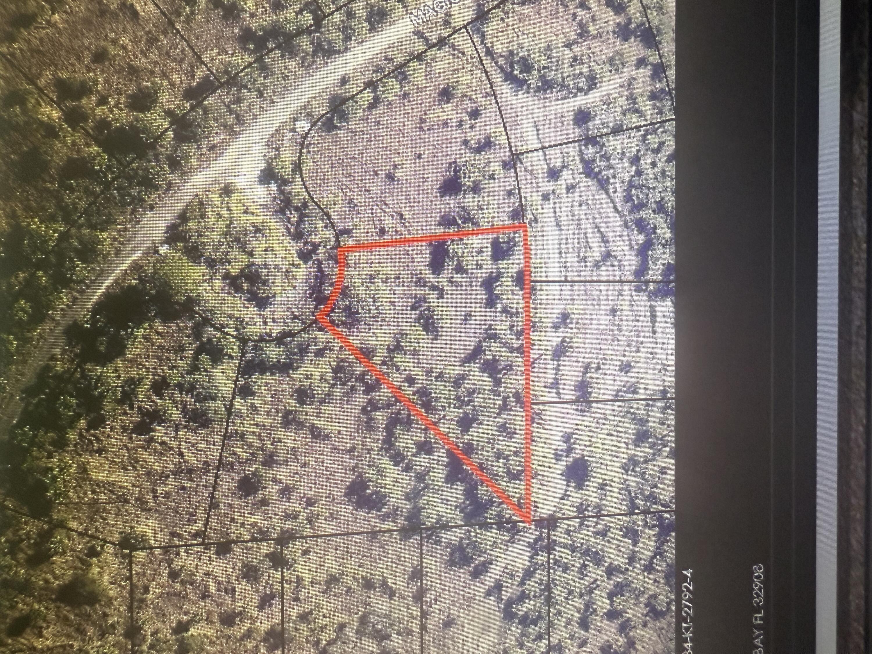 1338 Magic Street Southwest Melbourne, FL 32904 - Photo 2 of 2 IMG_1282