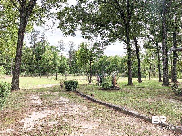 1598 Long Leaf Road Peterman, AL 36471 - Photo 15 of 34