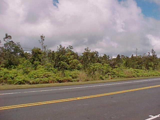11-3213 Old Volcano Road Volcano, HI 96771 - Photo 1 of 3