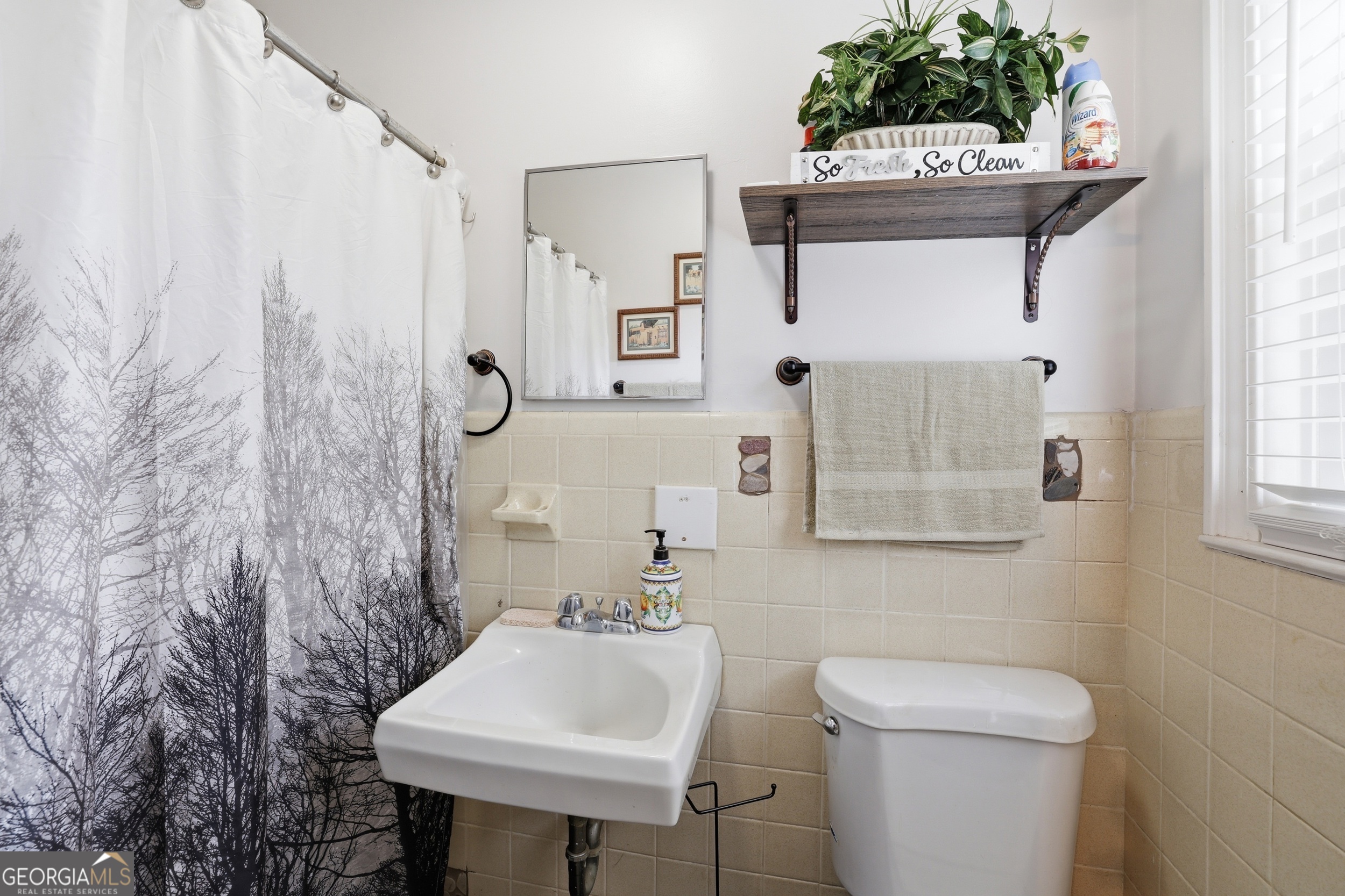 326 Remsdale Road Toccoa, GA 30577 - Photo 24 of 37 a bathroom with a sink toilet and mirror