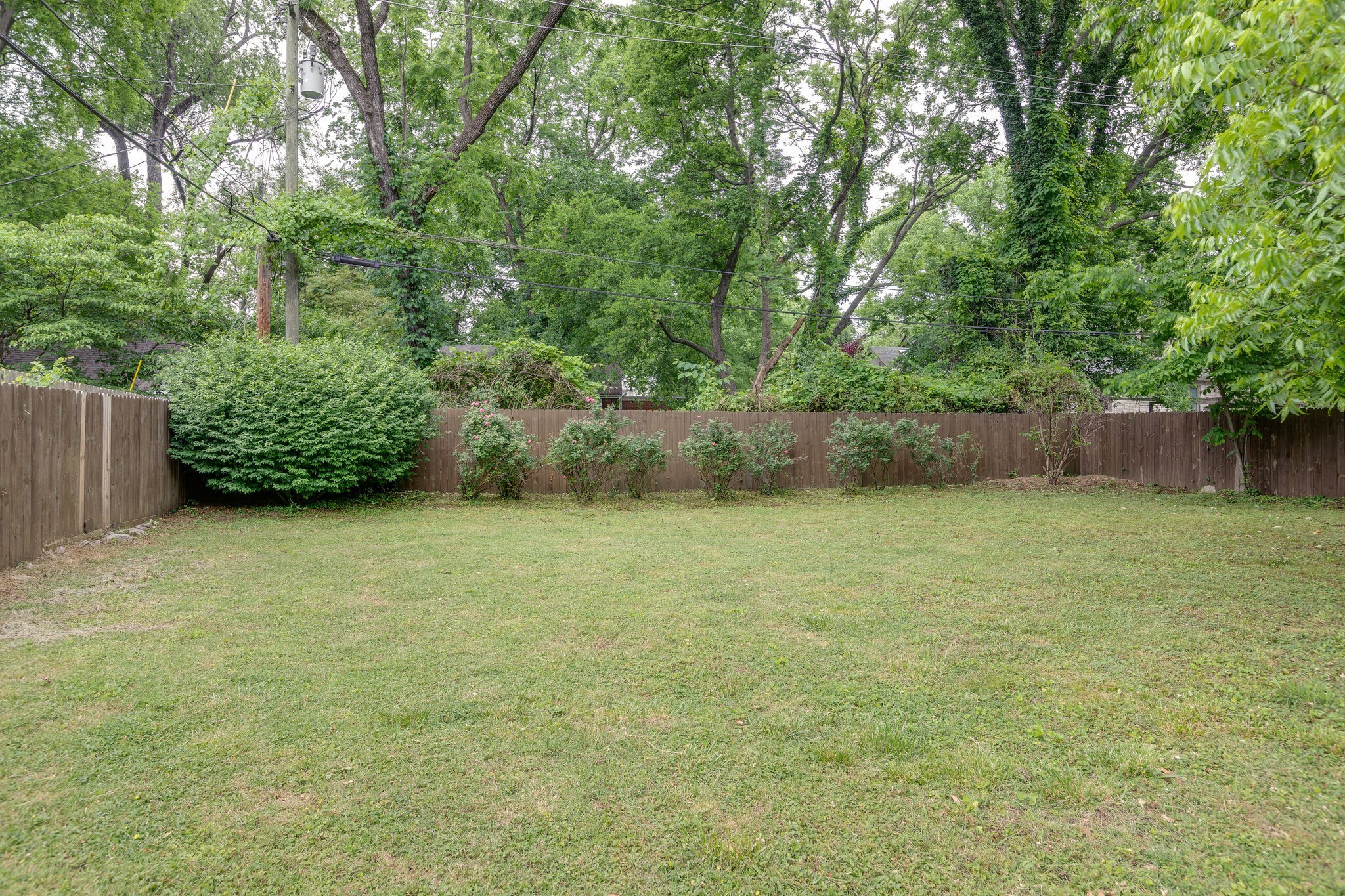 3910 Valley Road Nashville, TN 37205 - Photo 27 of 41 front view of a yard with plants