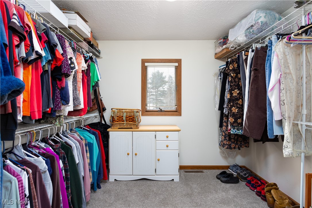 310 Reimer Road Wadsworth, OH 44281 - Photo 31 of 38 Spacious closet with carpet flooring