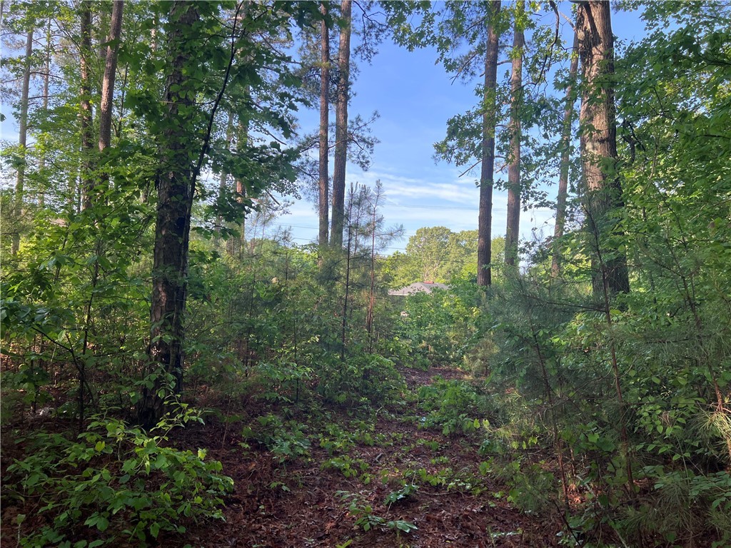 0 Seed Farm Road Westminster, SC 29693 - Photo 2 of 9